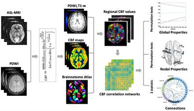 A 3D pseudo-continuous arterial spin labeling study of altered cerebral blood flow correlation networks in mild cognitive impairment and Alzheimer's disease